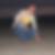 Profilbild von Joachim Stenger