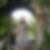 Profilbild von Angela Schwinger