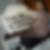 Profilbild von Andrea Merkle