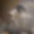 Profilbild von Lutz Wedow