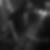 Profilbild von Thomas Gieseler