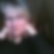 Profilbild von Claudia Grosser