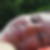 Profilbild von Caroline Gebhard