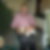 Profilbild von Andreas Hanke