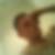 Profilbild von Pascal Hein