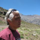 Profilfoto von Salim Beg