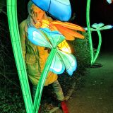 Profilfoto von Martina Frischkorn