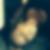 Profilbild von Sarah America
