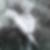 Profilbild von Toralf Diedrich