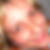 Profilbild von Nicole Steuer