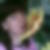 Profilbild von Marianne König