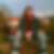 Profilbild von Mark Einsiedler