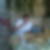 Profilbild von Uwe Breiting