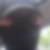 Profilbild von Stefan Dorow