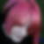 Profilbild von Daniela Zenzarra