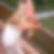 Profilbild von Nicole Jokiel