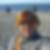 Profilbild von Nicole Vierow