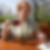 Profilbild von Hannelore Ewald