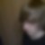 Profilbild von Michael Reiners