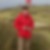 Profilbild von Konrad Heinz