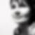 Profilbild von Jacqueline Eichner