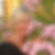 Profilbild von Conny Rachstein