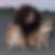 Profilbild von Susanne Fratzke