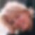 Profilbild von Gabriele Rebmann
