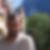 Profilbild von Tino Wenzel