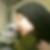 Profilbild von Jessy Love