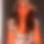 Profilbild von Mona Farahani