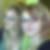 Profilbild von Nicole Platzek