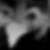Profilbild von Sergius Stoll