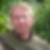 Profilbild von Günter Charly Gürtler