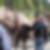 Profilbild von Nadine Brisse