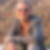 Profilbild von Wibke Stadler