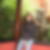Profilbild von Katrin Pelz