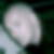 Profilbild von Detlef Bosse