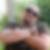 Profilbild von Frank Lorey