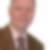 Profilbild von Dr. Helmut Brüggmann
