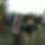 Profilbild von Heike Saul