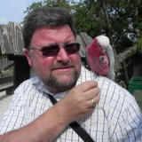 Profilfoto von Dirk Scharwächter