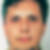 Profilbild von Sava Potrebic