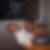 Profilbild von Claus Altner 
