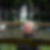 Profilbild von Britta Oschkenat