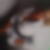 Profilbild von Andrea Baars