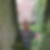 Profilbild von Thomas Lembeck