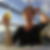 Profilbild von Ira Twardy
