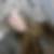 Profilbild von Lisa Brietzke
