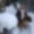 Profilbild von Birgit Becker